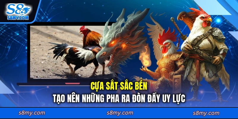 Cựa sắt sắc bén tạo nên những pha ra đòn đầy uy lực