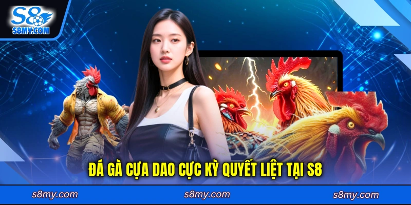 Đá gà cựa dao cực kỳ quyết liệt tại S8