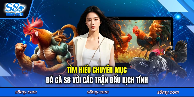 Tìm hiểu chuyên mục đá gà S8 với các trận đấu kịch tính